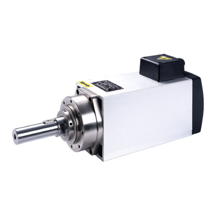 HM spindle motor with screws