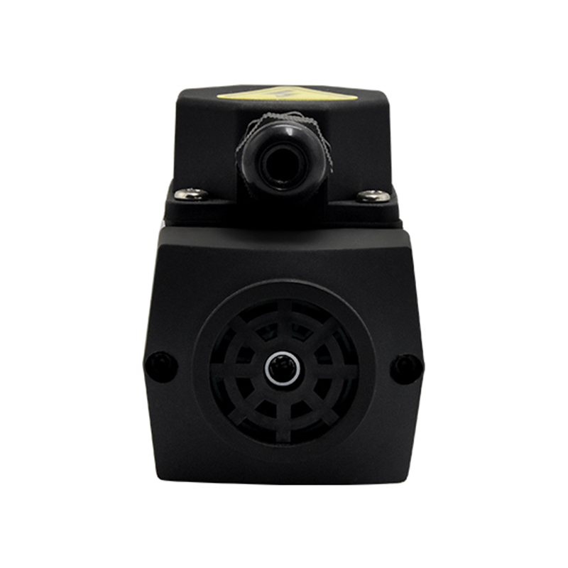 HM spindle motor with Flange clamp