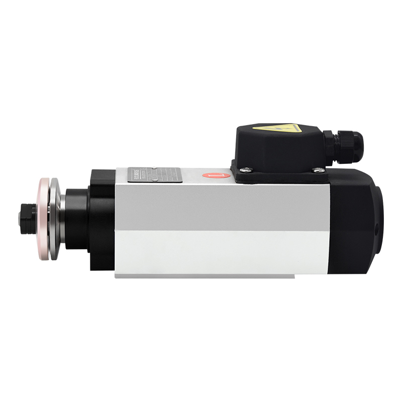 HM spindle motor with Flange clamp